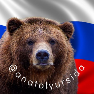 Telegram profile photo for Анатолий Урсида