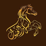 Telegram profile photo for قناة أسرار الخيول