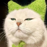 Telegram profile photo for varketili’s sale