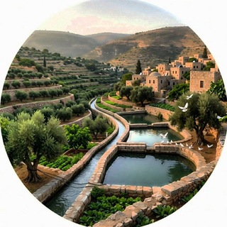Telegram profile photo for بَـتِـيـر 🌿