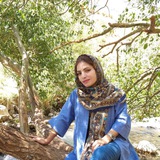 Telegram profile photo for نوشین لقمانی