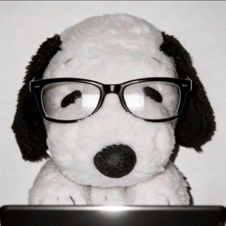 Telegram profile photo for Клуб любителей арктических обезьян