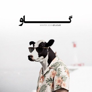 Telegram profile photo for محافظ گاو