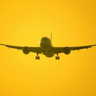 Telegram profile photo for Aviation Data