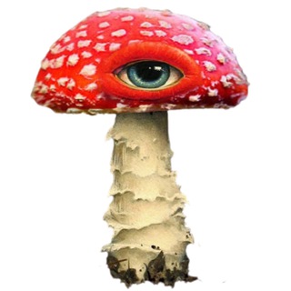 Telegram profile photo for Отзывы по микродозингу красного мухомора