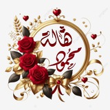 Telegram profile photo for اراء المشتركات بدوراتنا المجانيه والمدفوعه