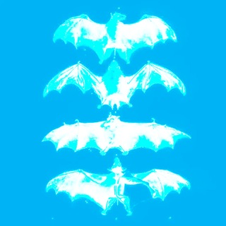 Telegram profile photo for skeance loops
