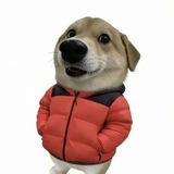 Telegram profile photo for TV图床频道
