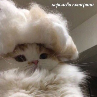 Telegram profile photo for Оригинальная косметика & парфюмерия & аксессуары♥️