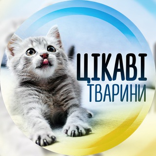 Telegram profile photo for Цікаві тварини ☃️