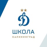Telegram profile photo for ФШ «Динамо»