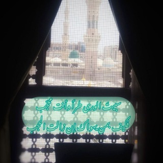 Telegram profile photo for كلام الأكابر