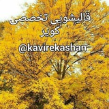 Telegram profile photo for قالیشویی تخصصی کویر کاشان