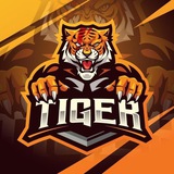 Telegram profile photo for CRYPTO TIGER 🐅