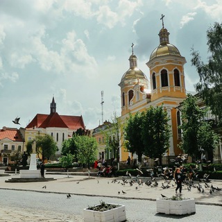Telegram profile photo for Бережани