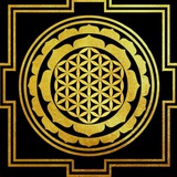 Telegram profile photo for نتایج دوره ها