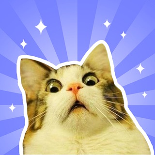 Telegram profile photo for смешать, но не взбалтывать
