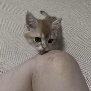 Telegram profile photo for ︎