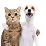 Telegram profile photo for Выдачи