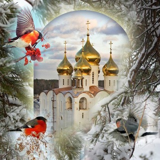 Telegram profile photo for Как выжить во времена апостасии. Православие и жизнь