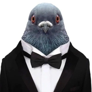 Telegram profile photo for Выдача подарок от Golub