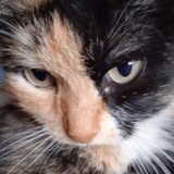 Telegram profile photo for motiktop1gg