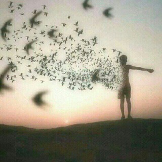 Telegram profile photo for أرَواحٌ راحِـلہۦٰ🕊