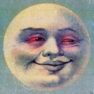 Telegram profile photo for Niciek