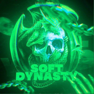 Telegram group profile photo for Dynasty Soft | chat