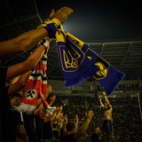 Telegram profile photo for FCSD fans