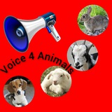 Telegram profile photo for voice4animals