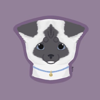 Telegram profile photo for 𓃠ЖУЖАня𓃠