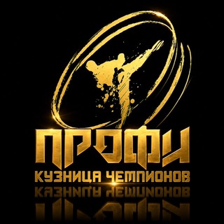 Telegram profile photo for Клуб профессионального каратэ «Профи»