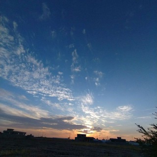 Telegram profile photo for النصرانية