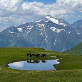 Telegram profile photo for Походы в Сочи-Абхазия-Кавказ с Сорокиной