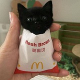 Telegram profile photo for Щп котов в баночке