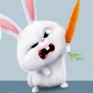 Telegram group profile photo for 亚美集团招商代理共赢