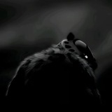 Telegram profile photo for Raphael