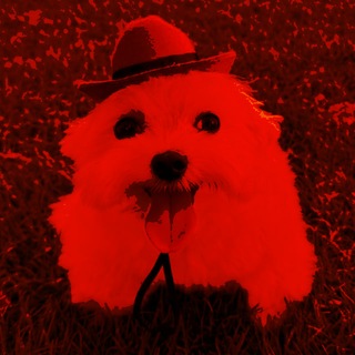 Telegram profile photo for Крсн змк