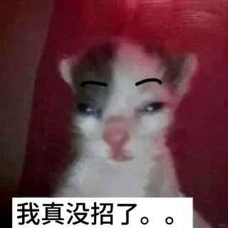 Telegram profile photo for 新疆人集合了。