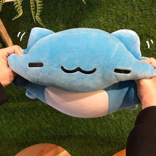 Telegram profile photo for 貓貓蟲咖波