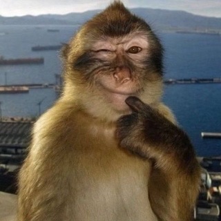 Telegram profile photo for Glamurraa