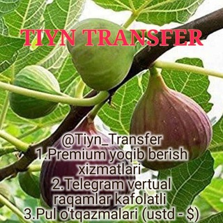 Telegram profile photo for TIYN TRANSFER💲📊