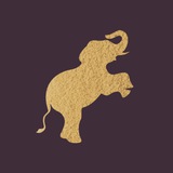 Telegram profile photo for Таиланд | Консалтинг
