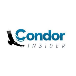 Telegram profile photo for CondorInsights