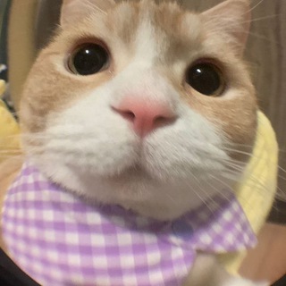 Telegram profile photo for Закрыт||Советы для ⲕⲟⲥⲡⲗⲉύ ⲕⲟⲙьюⲏυⲧυ || СДКК