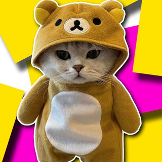 Telegram profile photo for MICU Portal