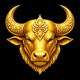 Telegram profile photo for Shwe Buffalo ကျွဲ စလော့ 🐃