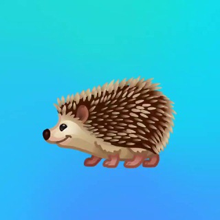 Telegram profile photo for Crypto | Hedgehog