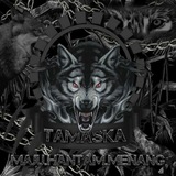 Telegram profile photo for ΛLΛRICK ƬΛMΛƧKΛ